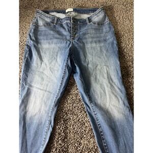 Lila Ryan Button Fly Skinny Jeans Womens 18W Medium Wash Stretch Denim Pants